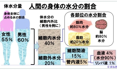 田七牙膏图片和价格-田七牙膏的功效网 - 为你提供田七牙膏功效与作用是什么、田七牙膏的功效和作用